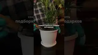 Не знаете что подарить садоводу?Тогда забирайте наш чек-лист подарков👆🏻