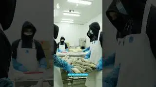 Can the UAE Grow Its Own Seafood? This Company Thinks So | Deep Seafood