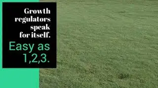 Growth regulators speak for itself.