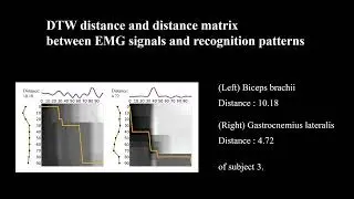 Interplay between Muscular Activity and Pattern Recognition of Electro-Stimulated Haptic Cues