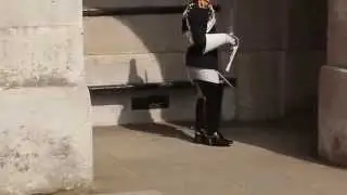 Typical London Royal Soldier