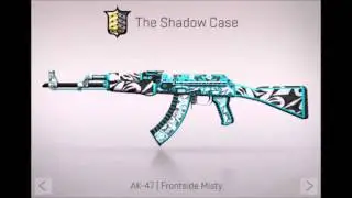 CS:GO AK47 Frontside Misty | Shadow Case First Look! 