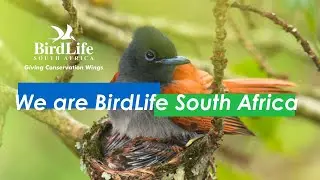 We Are BirdLife South Africa