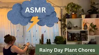 Rainy Day ASMR / Watering Houseplants and Plant Chores