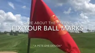 Firethorn Ball Mark Repair