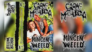 Carne Molida Split With Mince'N Weed (2026 - Mincegore/Goregrind/Noisegore)