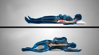 Right Sleeping Positions - With Scientific Analysis