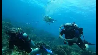 Plunging into La Dania's Leap Bonaire Dive Adventure with the Crew!