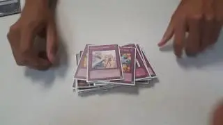 Raidraptor Deck Profile - August 2016 - Robbed of top 4