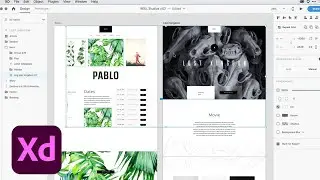 Adobe XD Release March 2019: Selecting objects across groups for easy editing | Adobe Creative Cloud