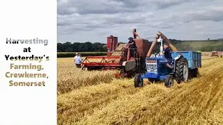🚜 Vintage Combines in Action! Yesterday’s Farming Harvest Event 2024 | Crewkerne, Somerset 🇬🇧