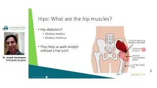 Hip Pain Relief