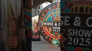 Horse and Cattle show Lahore|#dilshadkapakistan #lahore #horse #cattles #punjab