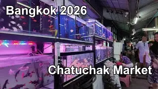 【バンコク】チャトチャック市場散策　Bangkok Thailand 