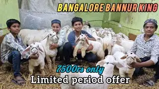 Bangalore Bannur King Shahid Bhai 99022 36542 