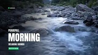 Nature Sound Therapy: Stream Flow and Morning Bird Symphony | Dawn Harmony: Calm Water and Birdsong