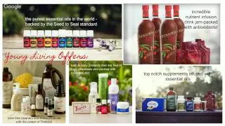 Lifestyle of Wellness: An Introduction to Young Living Essential Oils