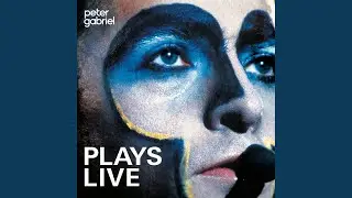 The Family And The Fishing Net (Live)