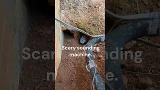 20F frozen water bowls. Daily cold morning Bunny Rabbit job