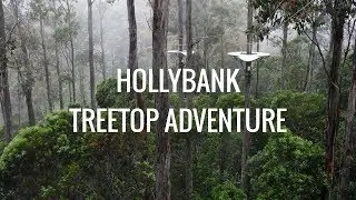 Hollybank Treetop Adventure Zipline Canopy Tour - Launceston, Tasmania