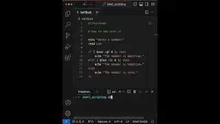 Scripting Brilliance: Elevate Your Code with 'else if' Statements! 🚀💻✨