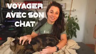 Emmener son chat en voyage.
