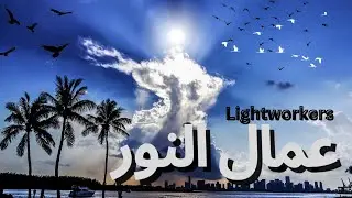 من هم عمال النور؟ وما هي سماتهم؟ وماذا يجب عليهم  التركيز عليه؟