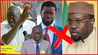 Fallou diagne sur l'affaire de s&eacute;paration sonko et diomaye - je confire encore y'a un probl&egrave;me