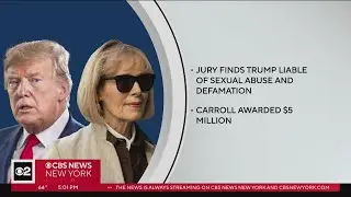 Former president Trump found liable in civil battery, defamation case