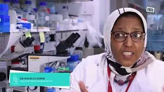 Chronic Pain Research - Animal Free Research UK