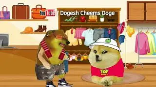 Vimdhayak Ji Ne Dogelina Ko Fasa Liya