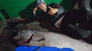MANCING IKAN ESCOLAR - OIL FISH