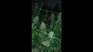 The High Road -  Death Star