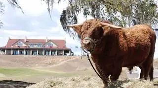 Bulls Bay Golf Club