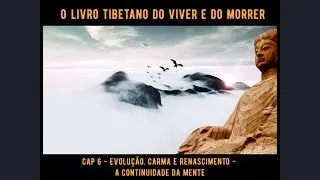 22 - Cap 6: Evolu&ccedil;&atilde;o, Carma e Renascimento - A continuidade da mente
