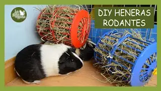 DIY HENERAS RODANTES PARA COBAYAS, CONEJOS Y CHINCHILLAS CON RUEDAS PARA HAMSTER | HAZLO TÚ MISMO