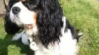 Nell on clifftop