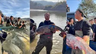 Bí ẩn ao cá Hà Nam hút cạn nước Tìm thủy quái mất tích - P1