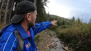 Ось ЦЕ знахідка!..Грибів просто ТЬМА! Вдала розвідка..ГРИБНИКИ знайшли нехожені місця!
