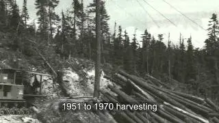 Whistler Forest History