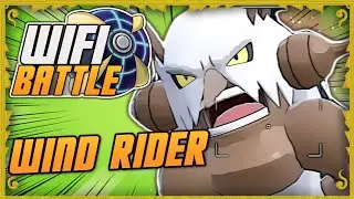WIND RIDER SHIFTRY THE NEW BEST SUICIDE LEAD Pokemon Scarlet and Violet wifi battle