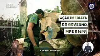 Combate ao Desmatamento 2022 - Secom  MT