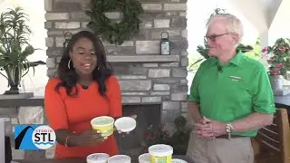 Lunch with Chelsea - Ted Drewes (Part 2)