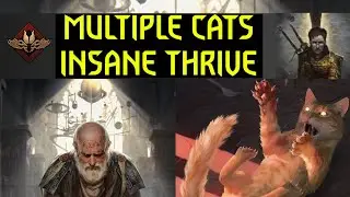GWENT 10.7 | MONSTERS CAT SPAM | OVERWHELMING HUNGER SIR SCRATCH-A-LOT MO DECK GUIDE AND GAMEPLAY