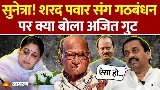 Maharashtra Deputy CM Sunetra Pawar:सुनेत्रा! Sharad Pawar संग विलय पर बोला अजित पवार गुट Ajit Pawar