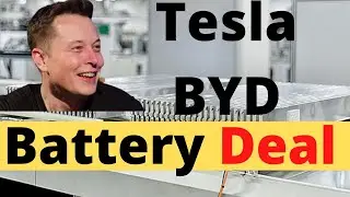 Tesla Reportedly Signs Contract with BYD to Supply 10 GWh of LFP Batteries