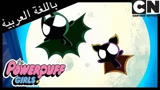 فتيات القوة | 3 بلوسوم | كرتون نتورك