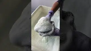 #spongeasmr #oddlysatisfying #spongerinse ##spongesqueezing