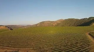 La Encantada Vineyards in the Santa Rita Hills AVA