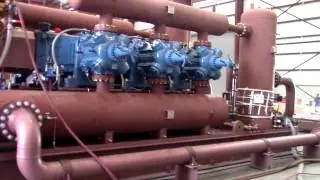 Alegacy Unit 1323 Run Test